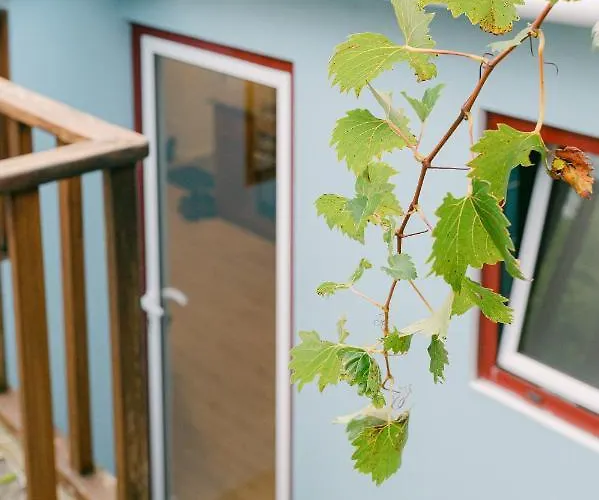 Дом отдыха Casa O Mar